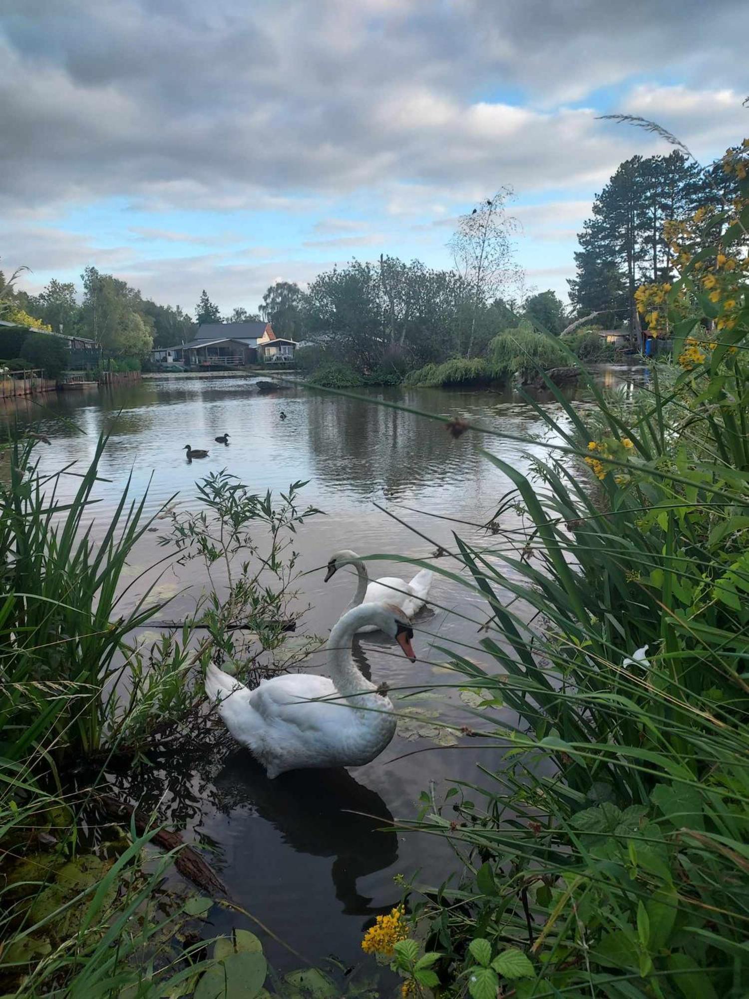 Rustig gelegen chalet Kapeki met tuin aan het water Geel Buitenkant foto