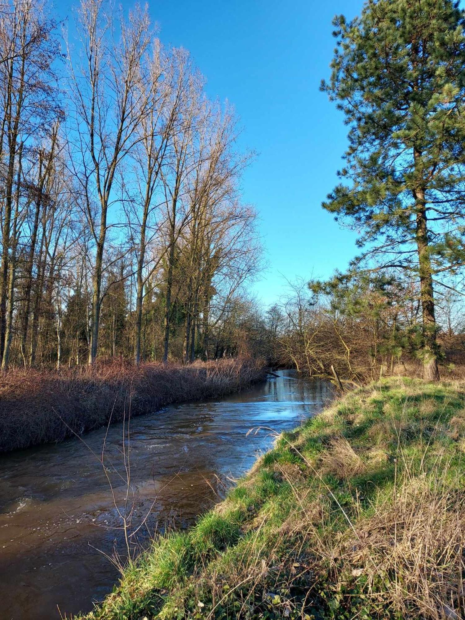Rustig gelegen chalet Kapeki met tuin aan het water Geel Buitenkant foto